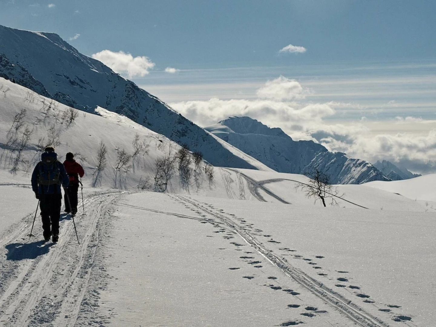 Holiday Home in Skibotn