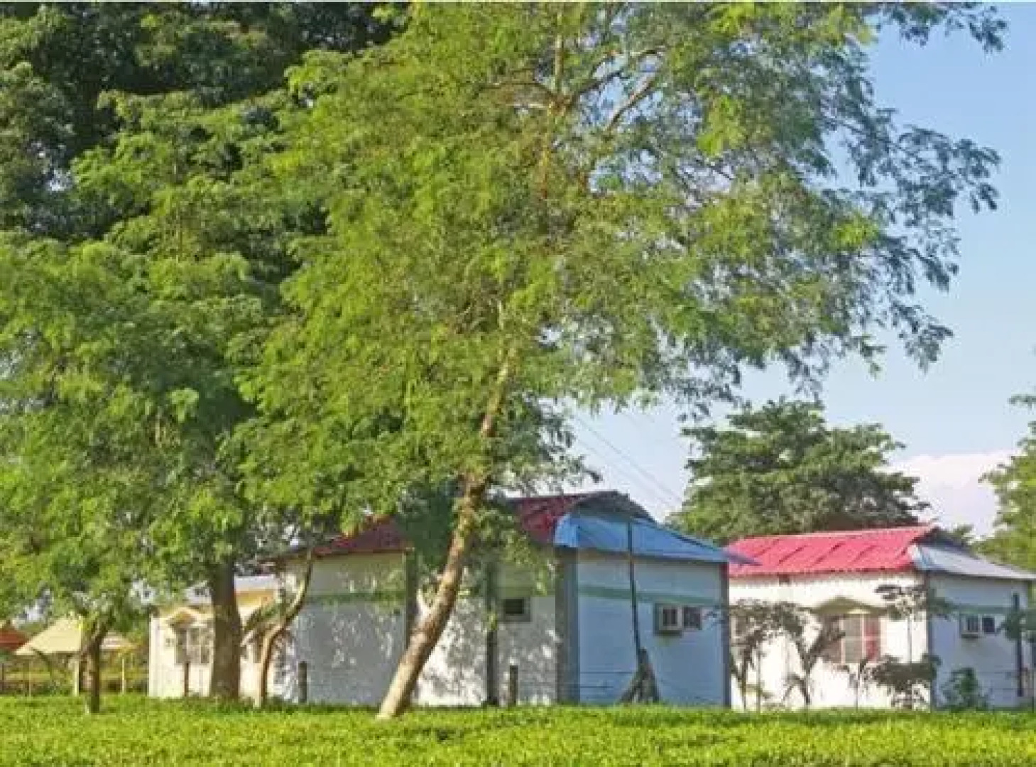Mystic resort amidst Tea Garden