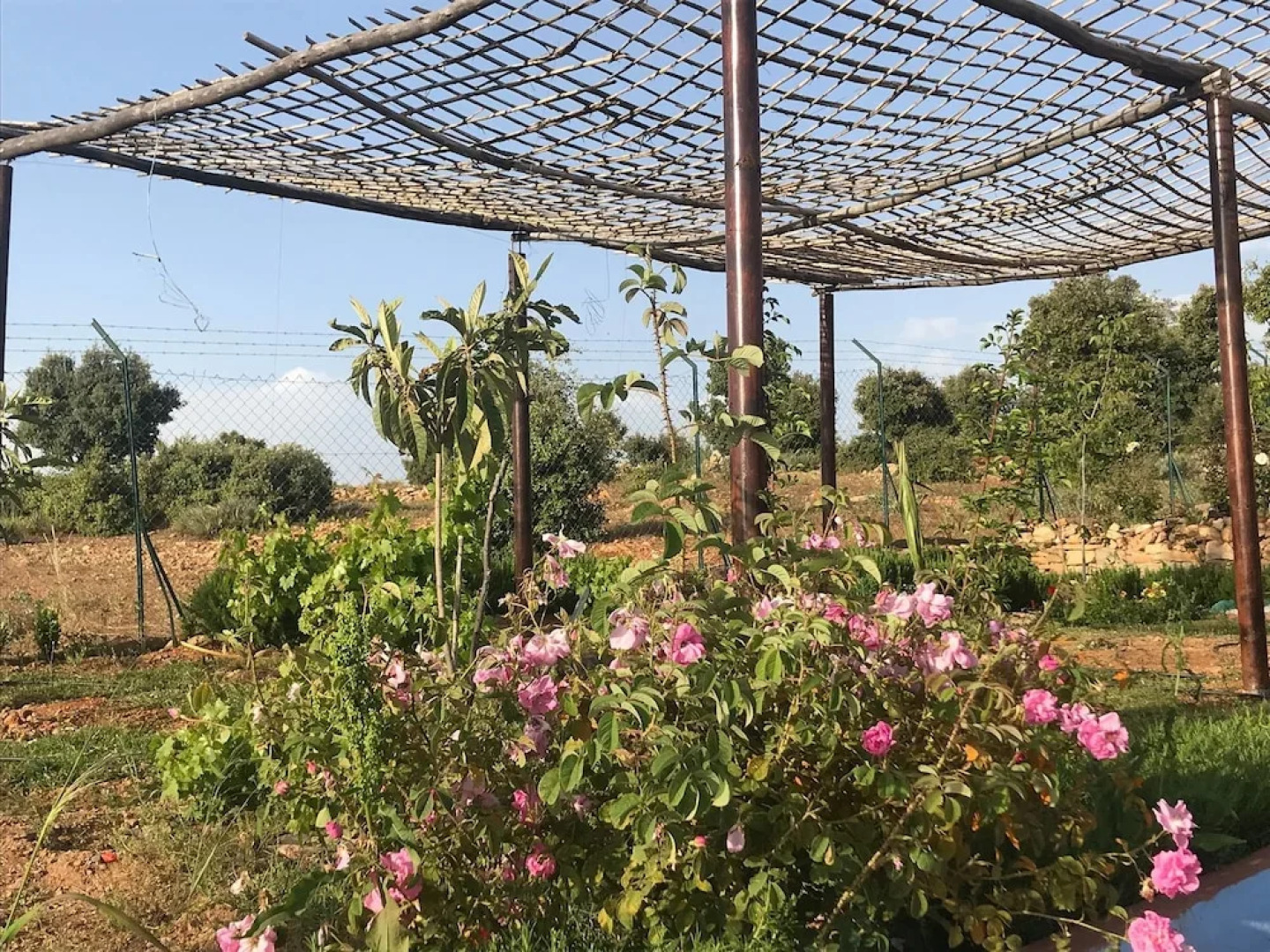 Maison d'hôtes Tinwitchi