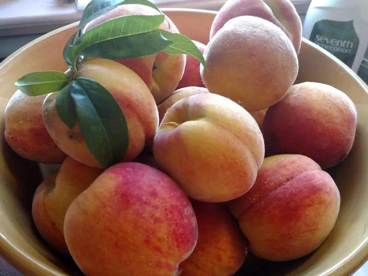 Tentrr - Medomak River Farm