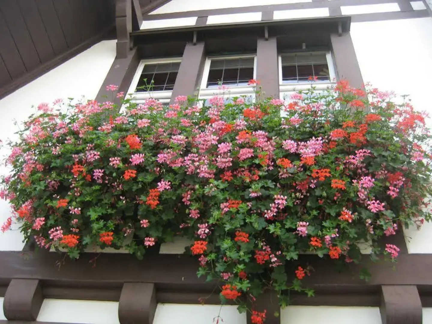 Boutique Hotel Waldhaus