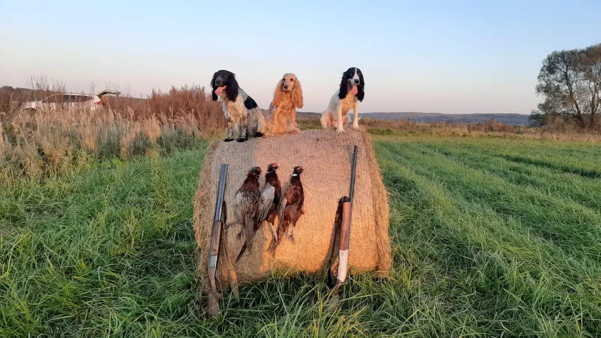 Домик в Подмосковье Под Аистом