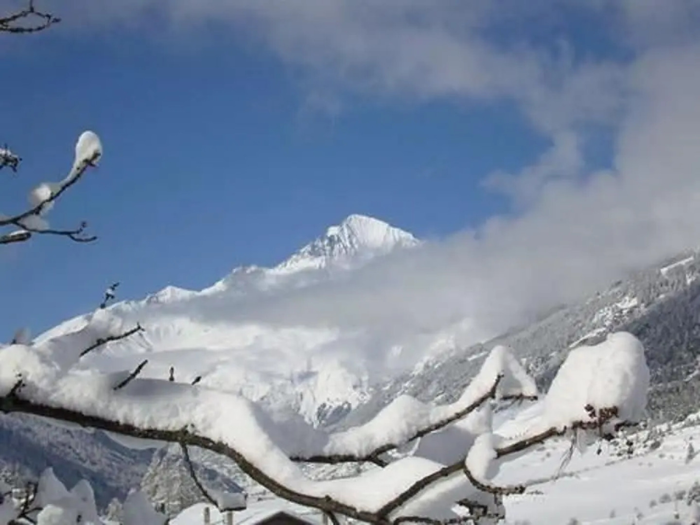 Appartement Le Pied de Piste