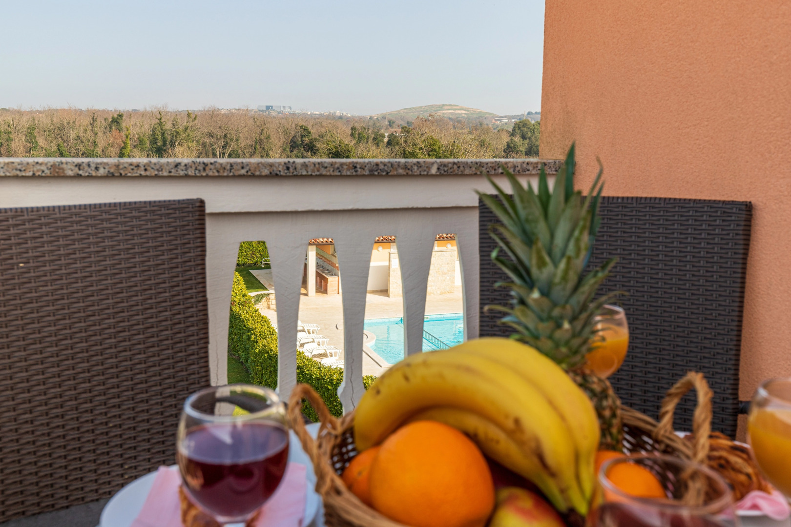 Pool Apartment Suzi 11