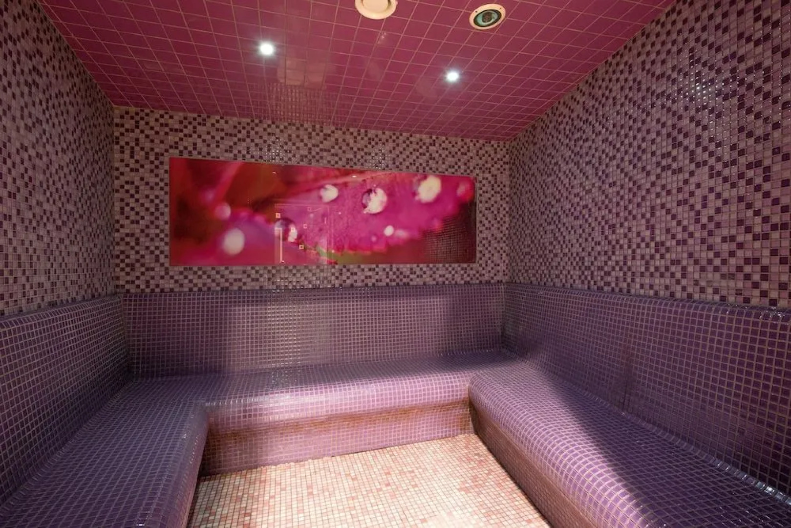 Primavera Jastrzębia Góra