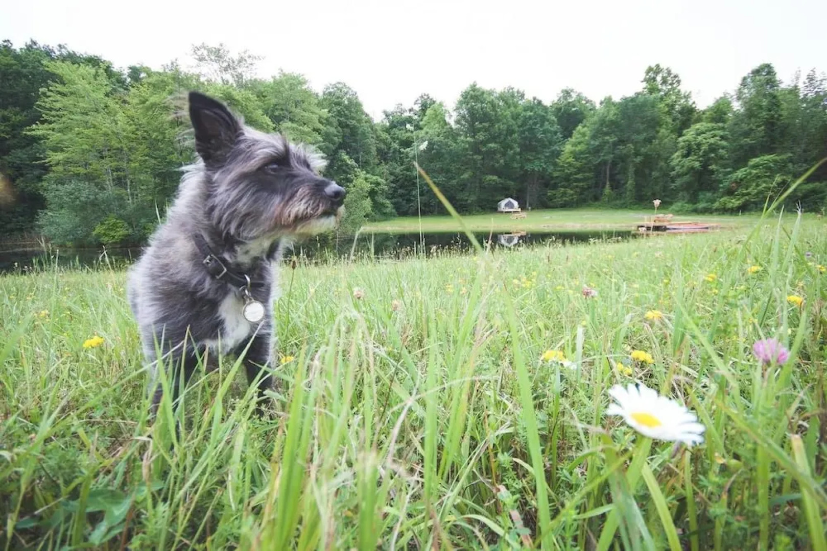 Tentrr - Vista Valley Sites