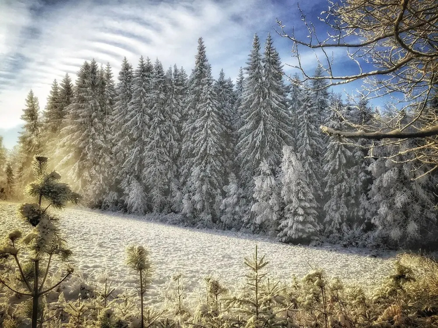 Ekologiska Fru Gran i Tiveden