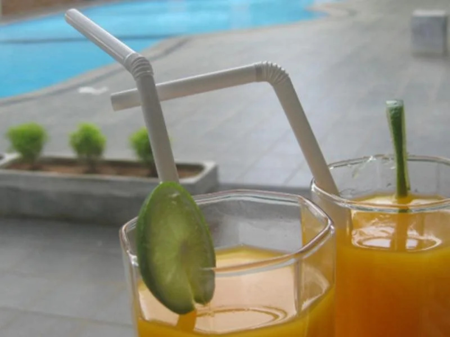 Elephant Safari Hotel - Udawalawa