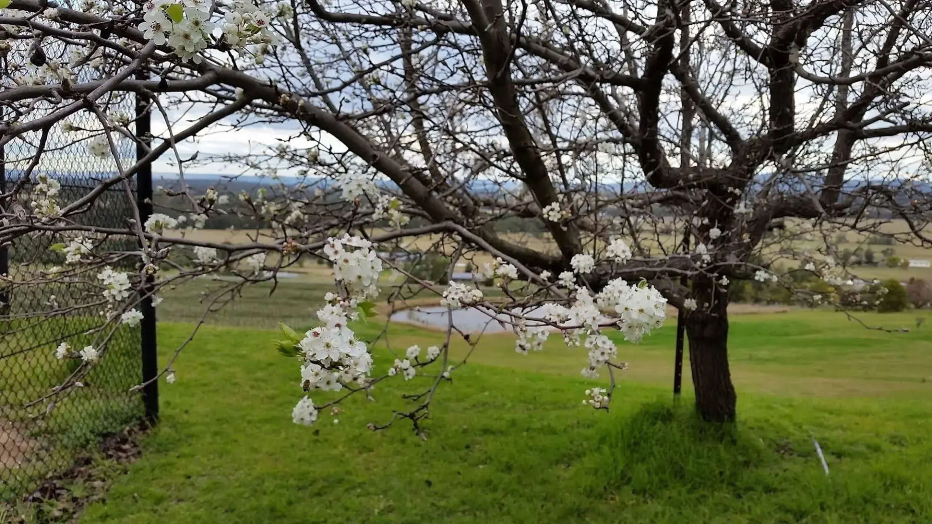 Sovereign Hill Country Lodge Rothbury