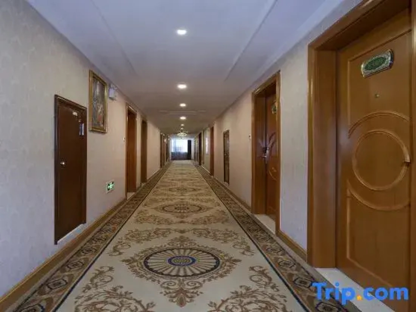 Vienna Classic Hotel (Anlu Jiefang Avenue)