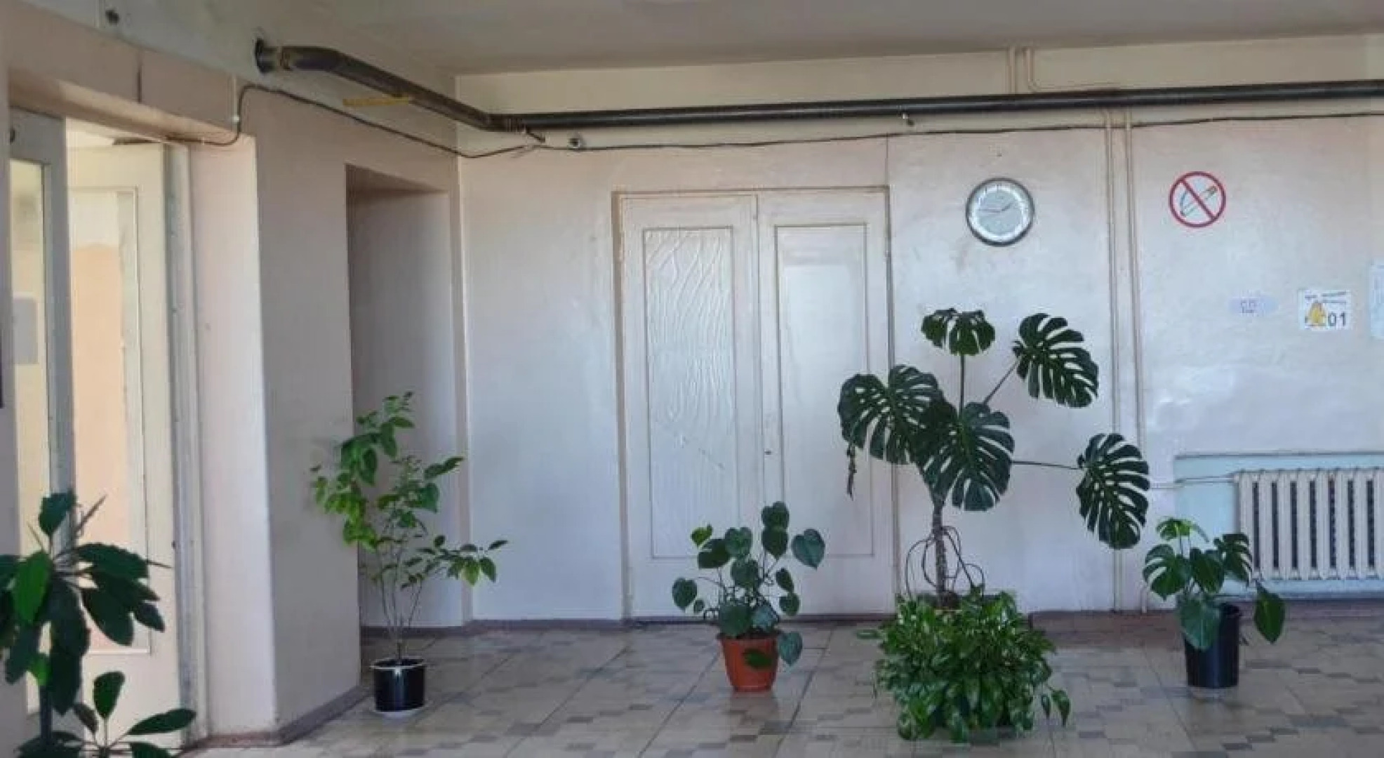 Хостел Платинум