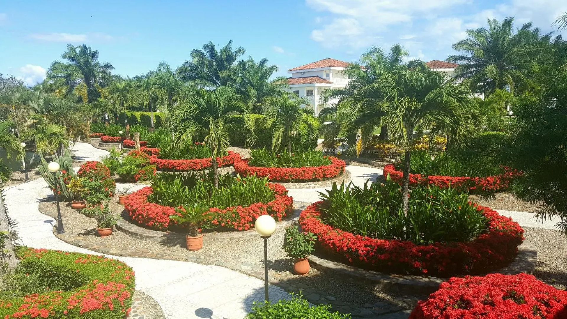 The Placencia