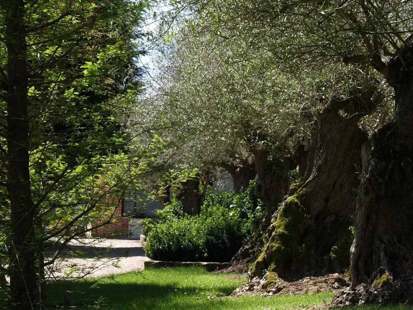 Hotel Palacio de la Peña