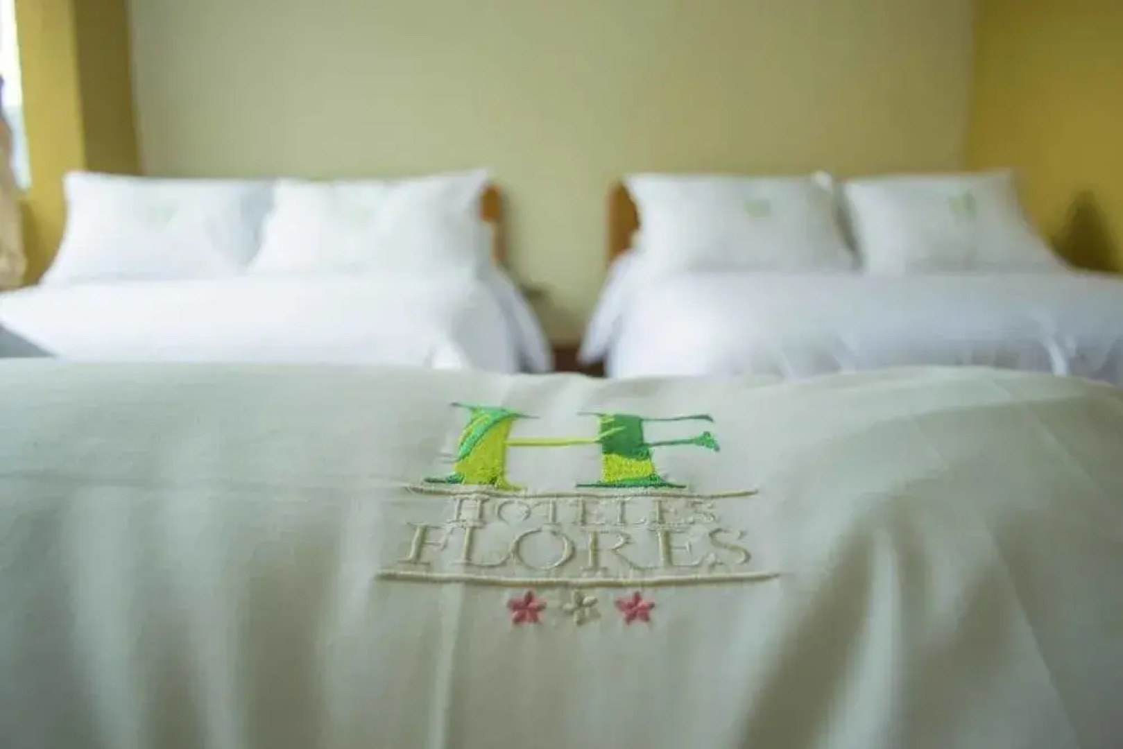 Hotel Flores Los Ponchos