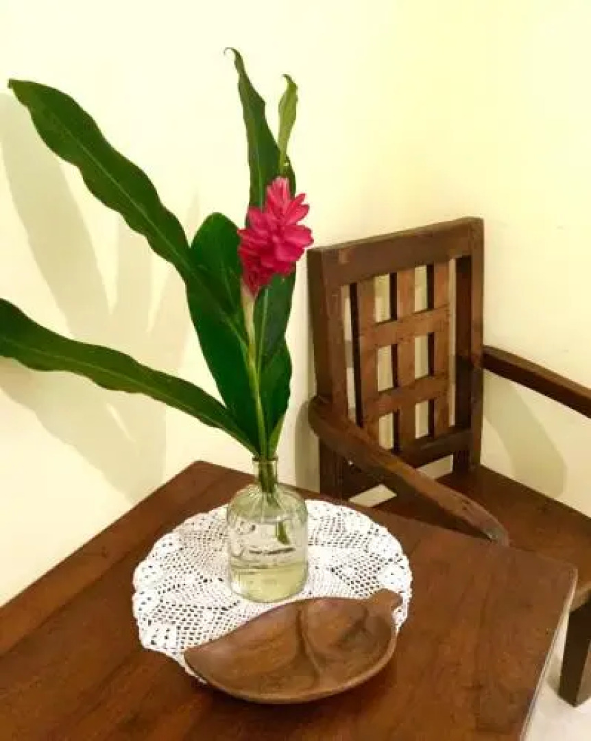 Roland's Garden Guesthouse