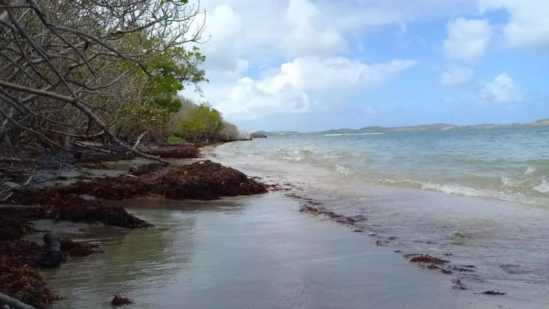 Beau F2 classé, vue mer, spa, jardin, parking et deck privatifs - piscine partagée