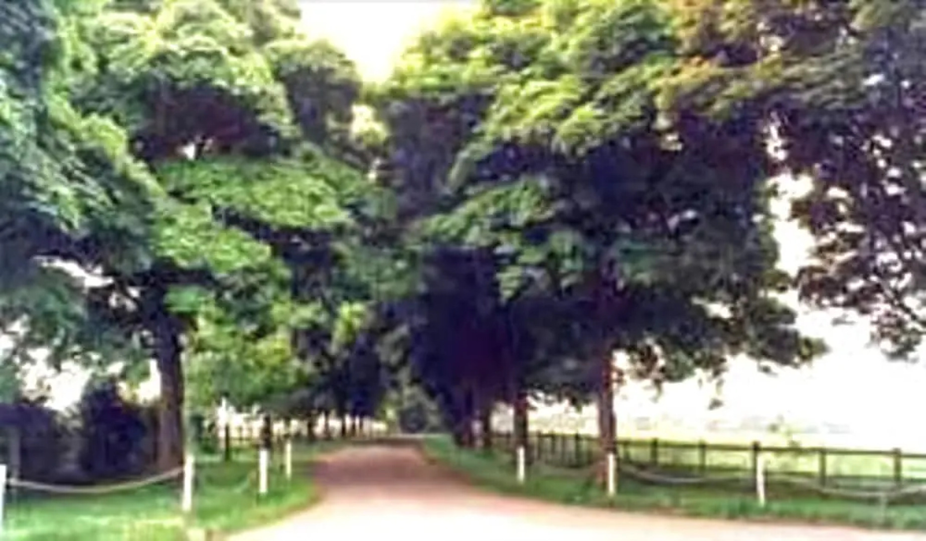 Snowshill Hill Estate B&B