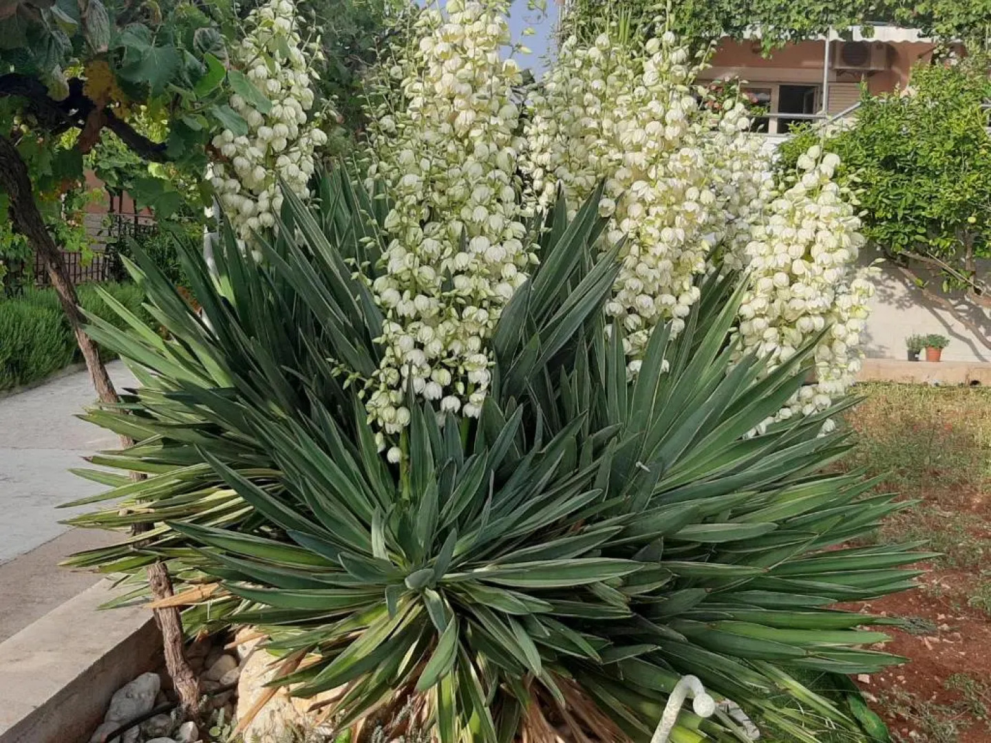 Apartments Luci And Kety