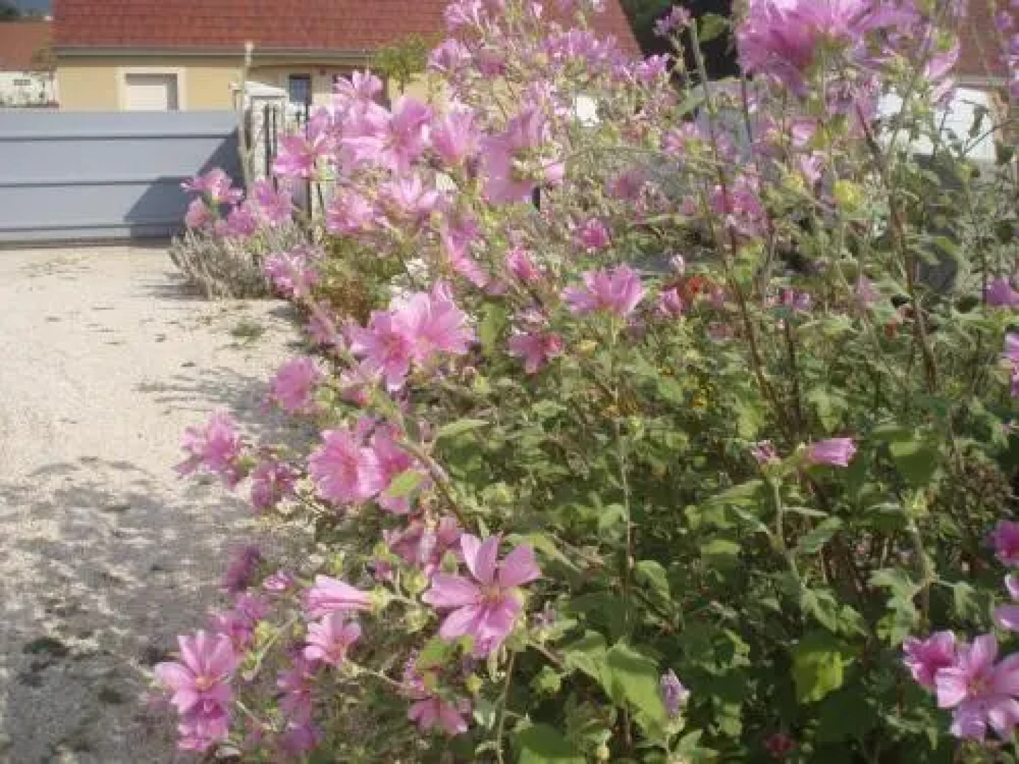 Chambre dHôte de la Belle Jardinière