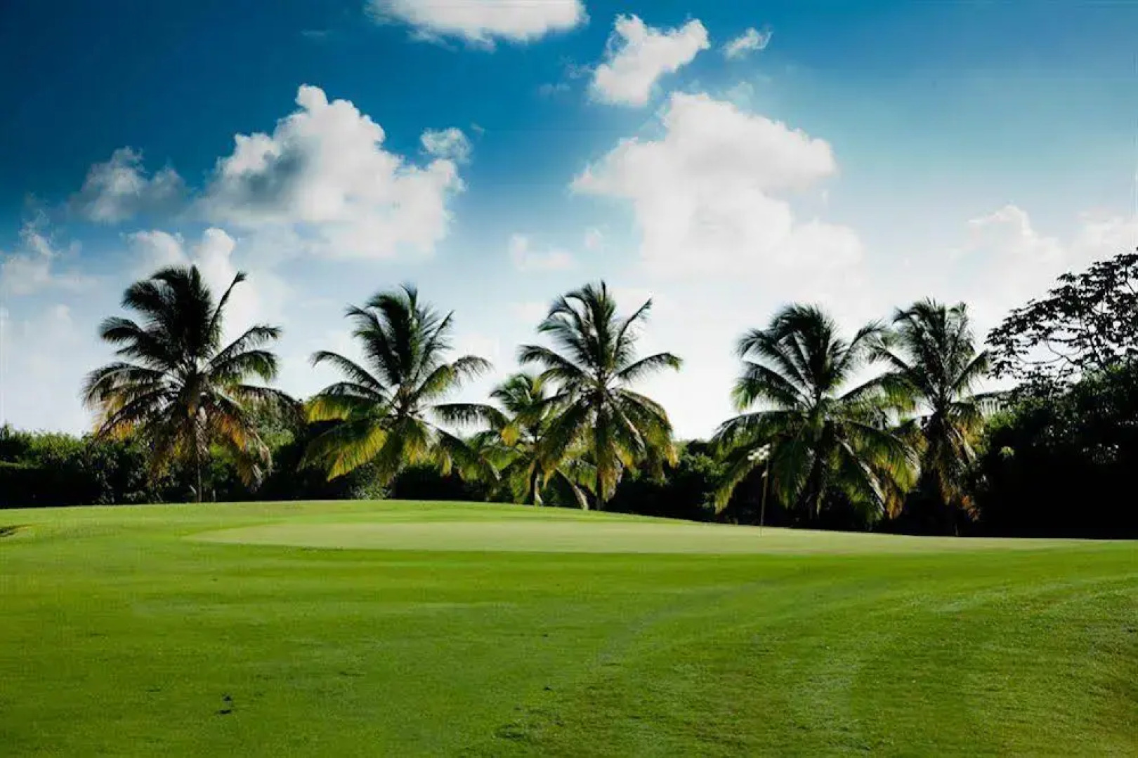 Punta Blanca Golf & Beach Resort