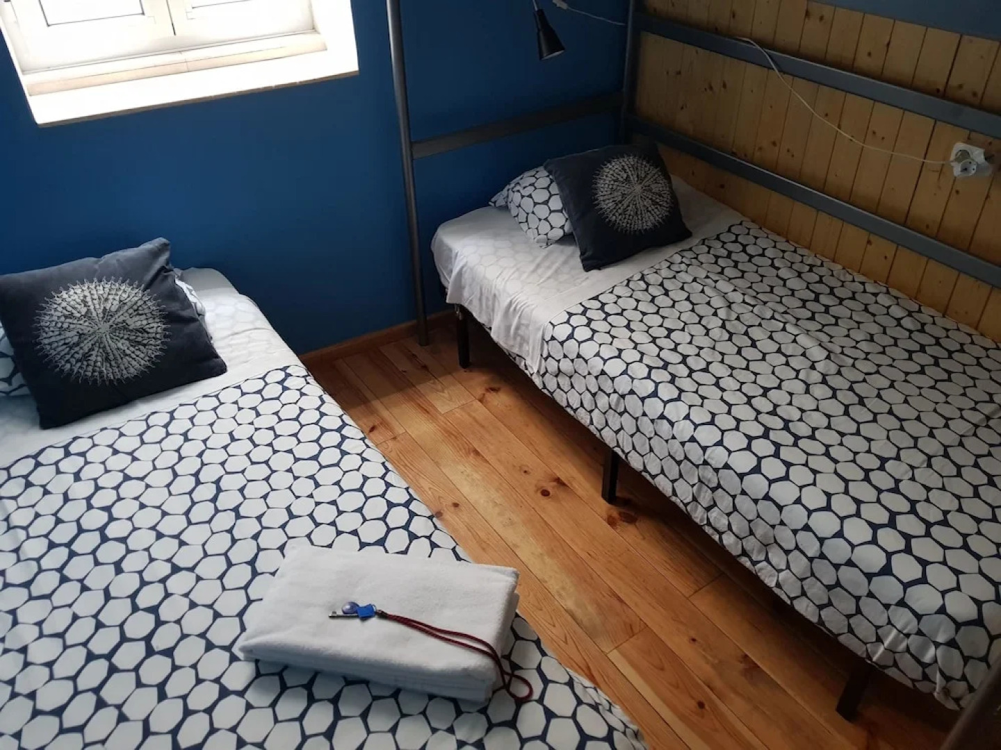 Sardines and Friends