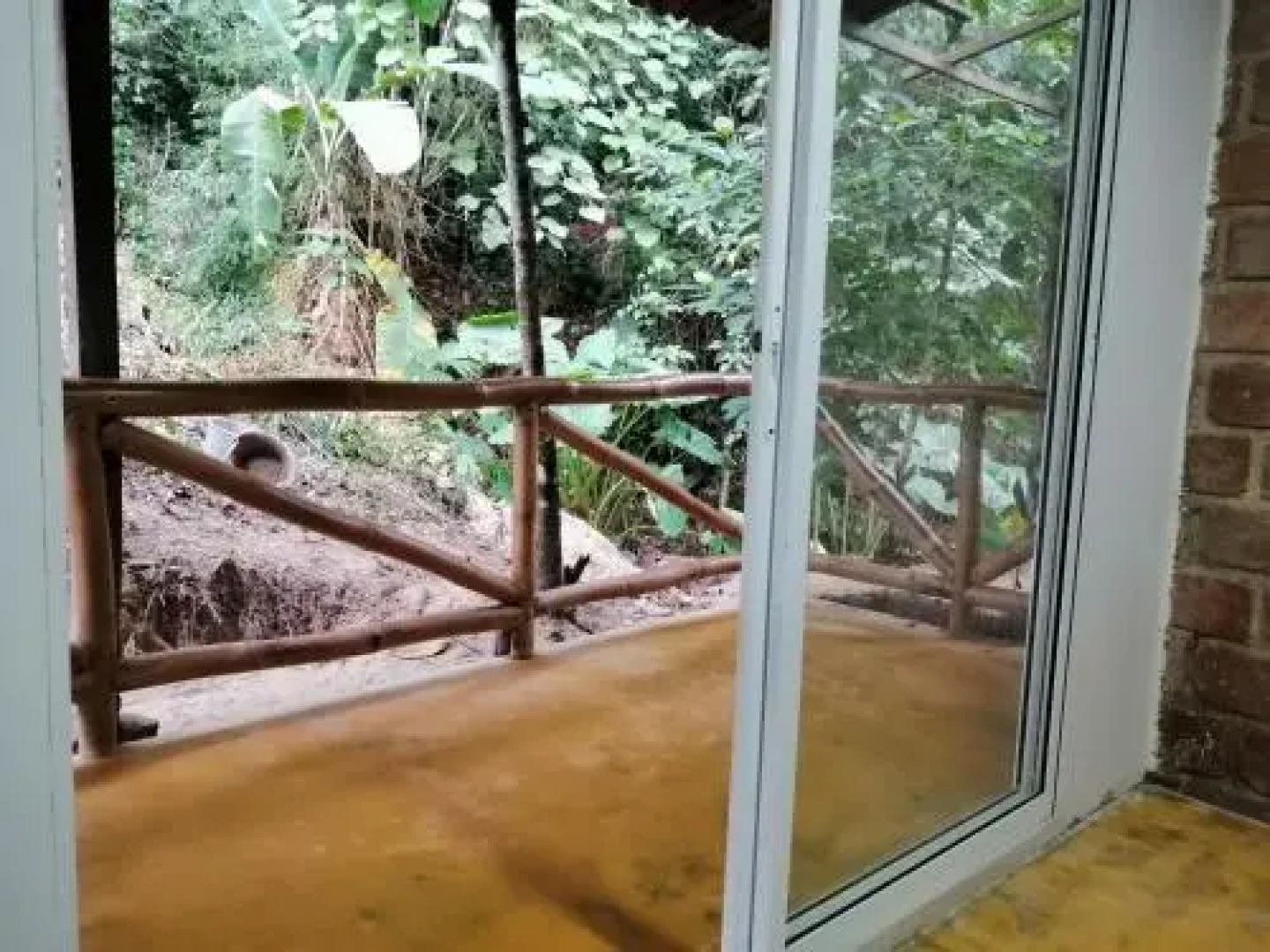 Colores De La Sierra