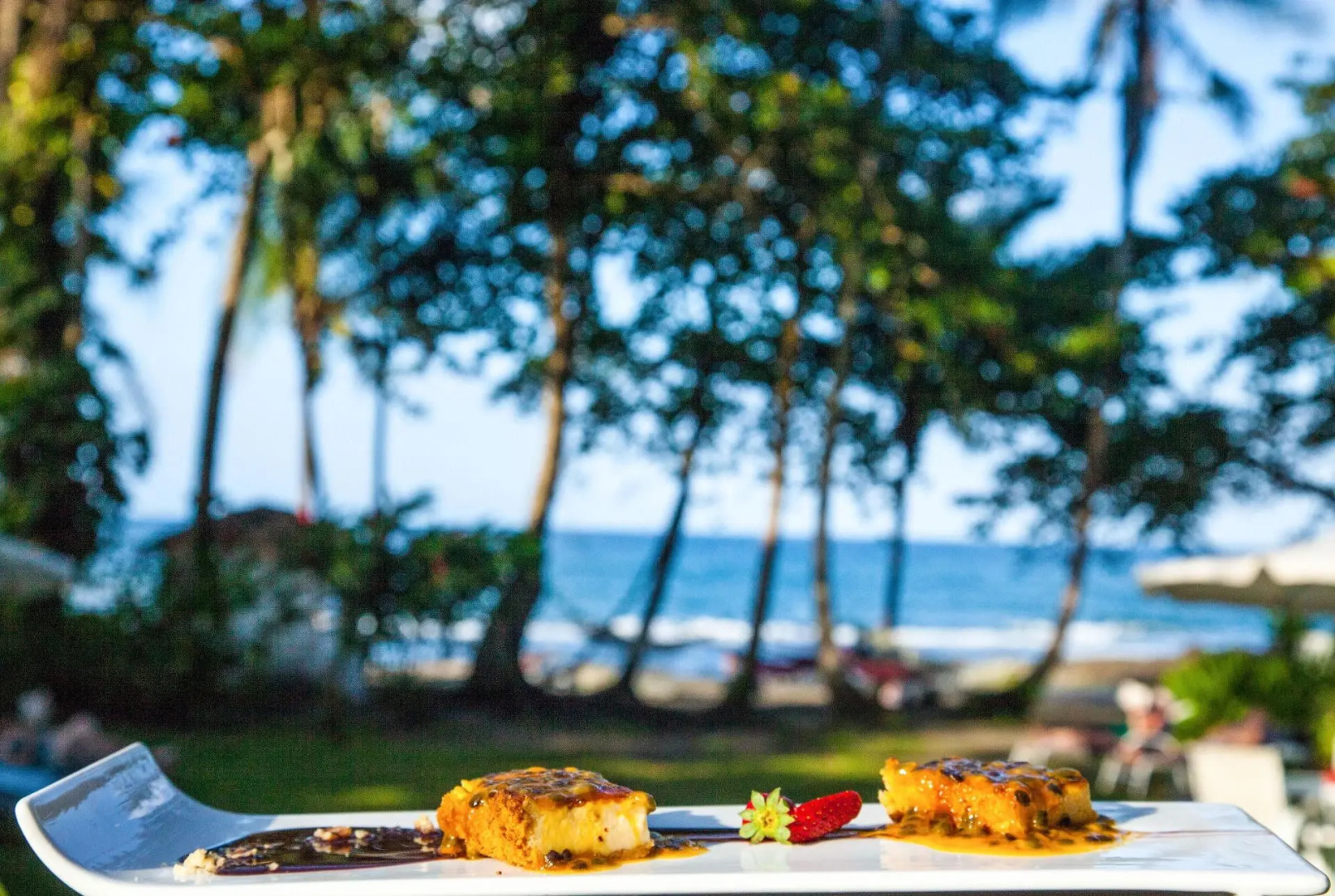 Le Cameleon Puerto Viejo