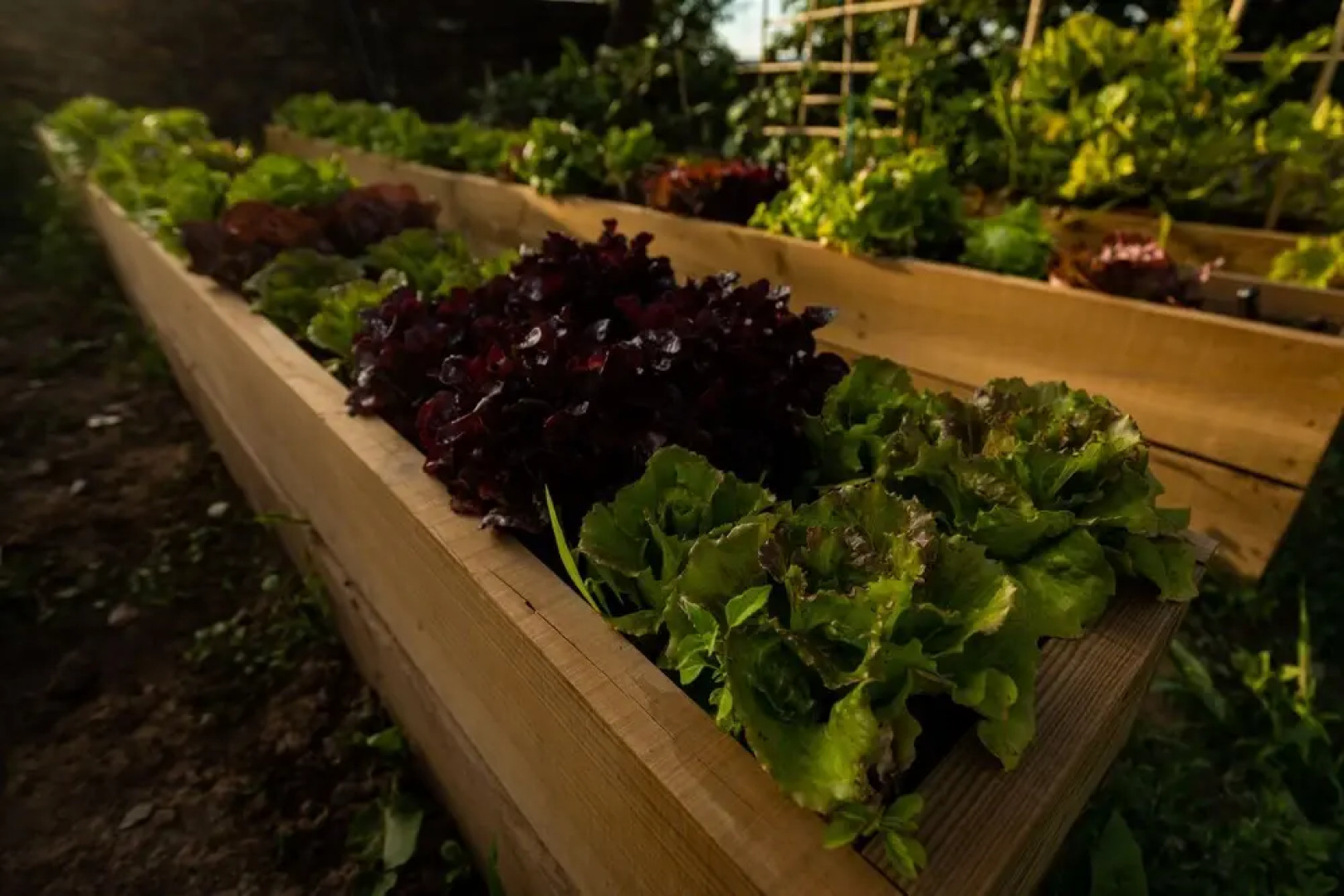 The Rock Suites & Spa