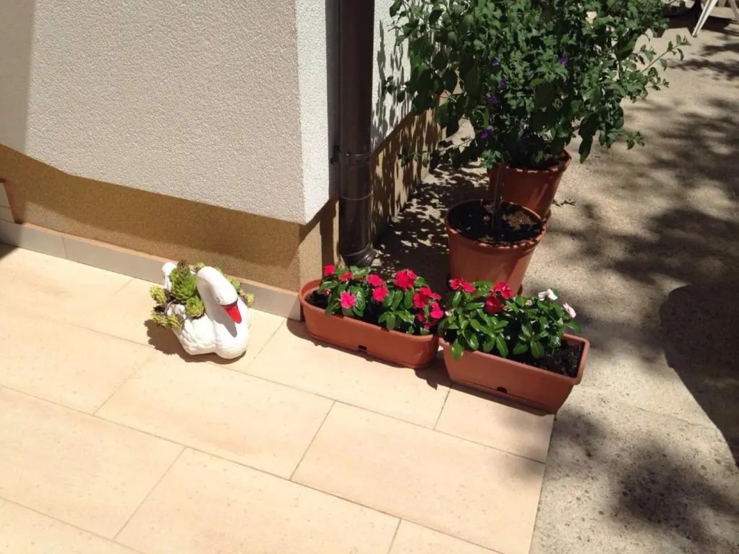 Pansion Speranza Međugorje