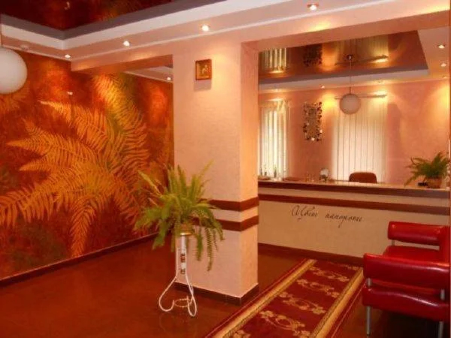 Цвит Папороти