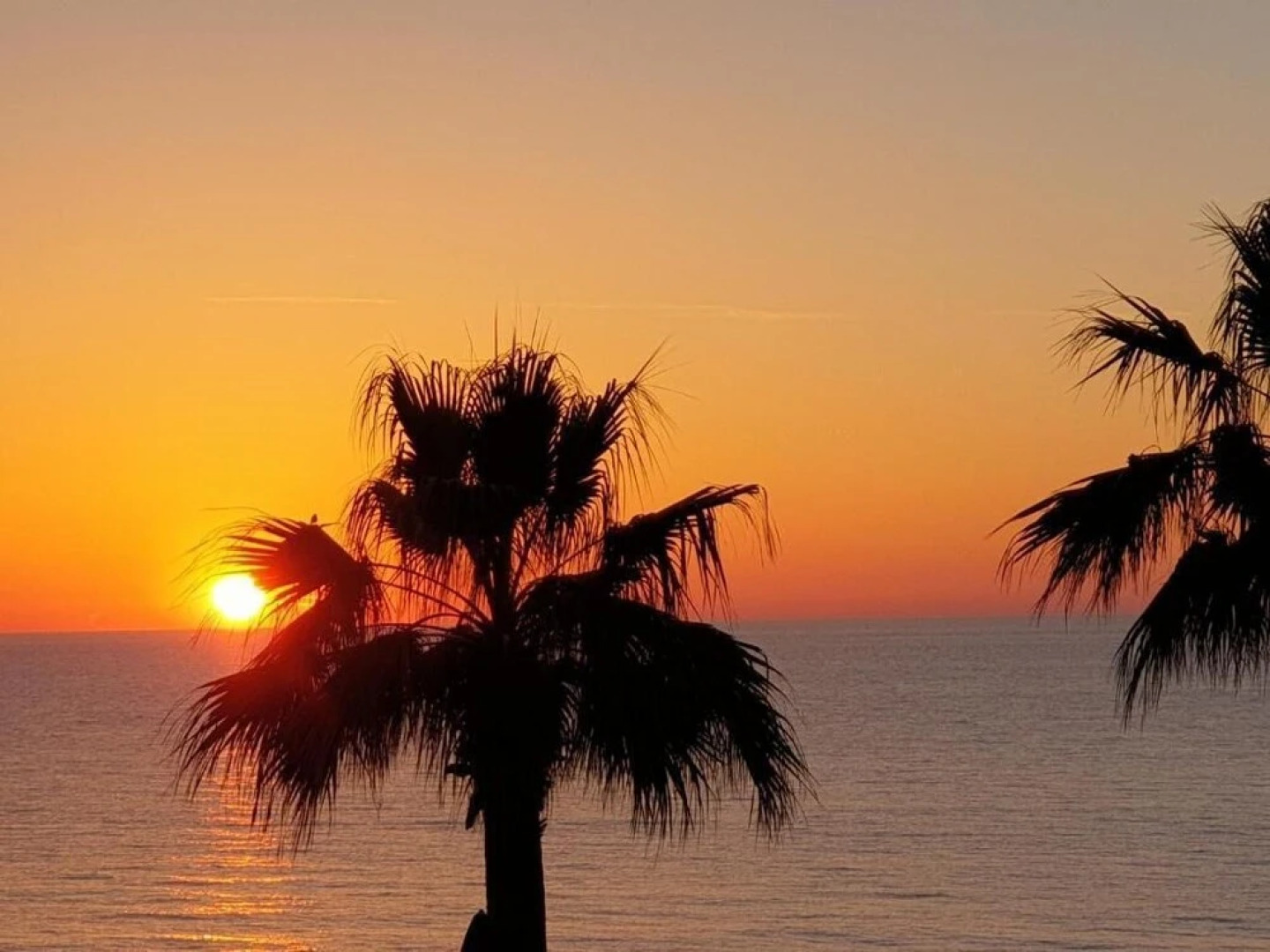 Sun Camero Apartments