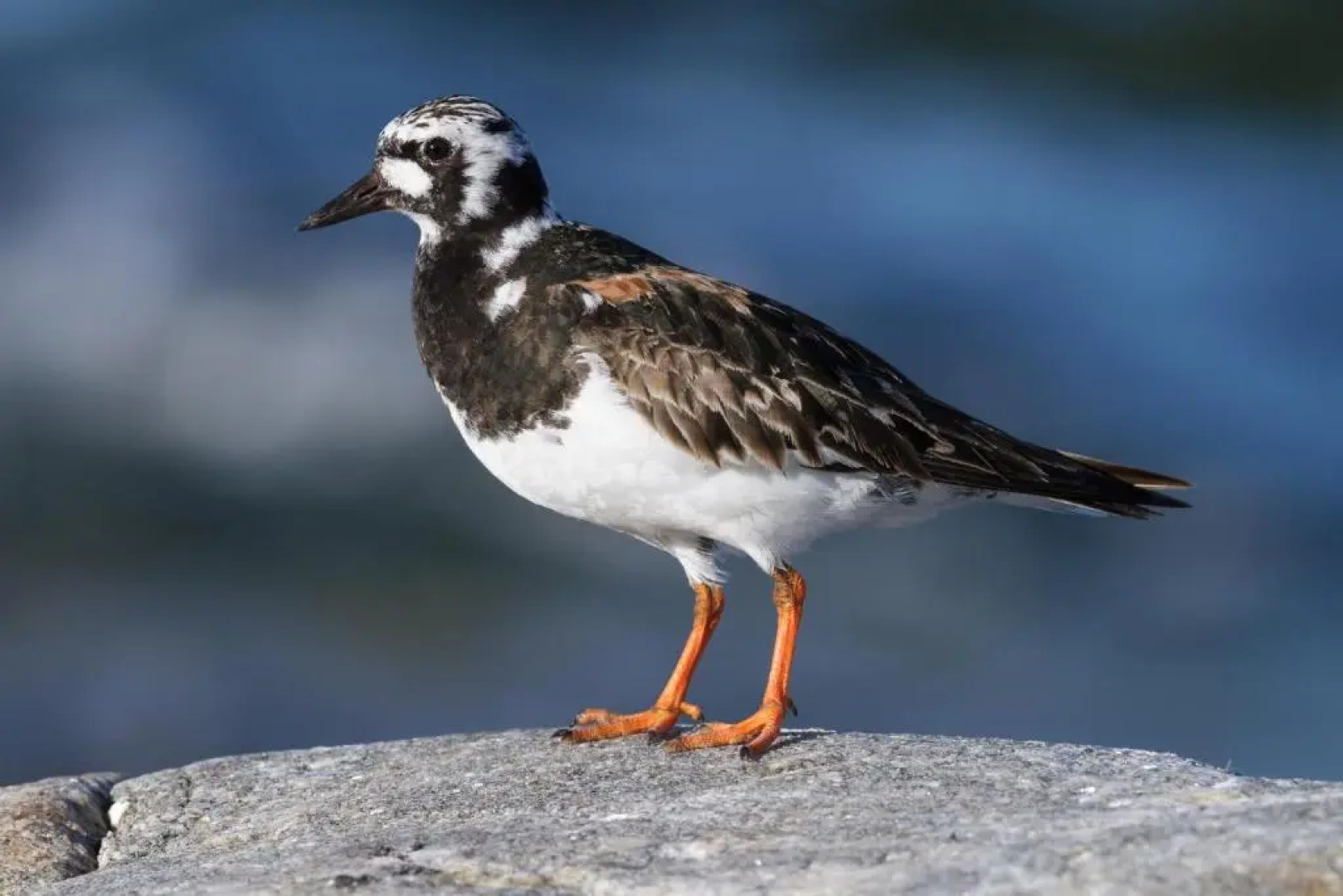Kylmã„Pihlaja Lighthouse