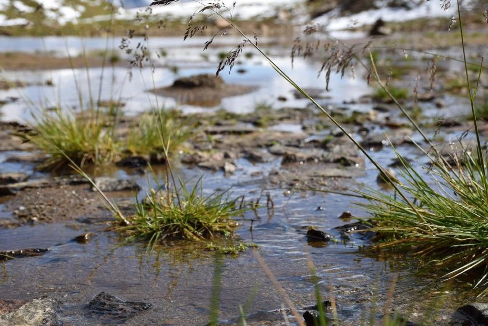 Ferienwohnungen Reinalter