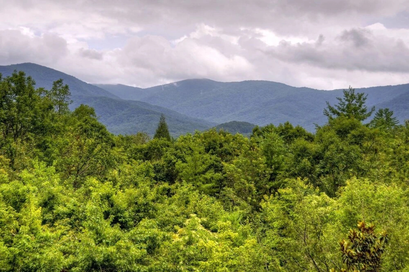 Willow Creek Falls- 201