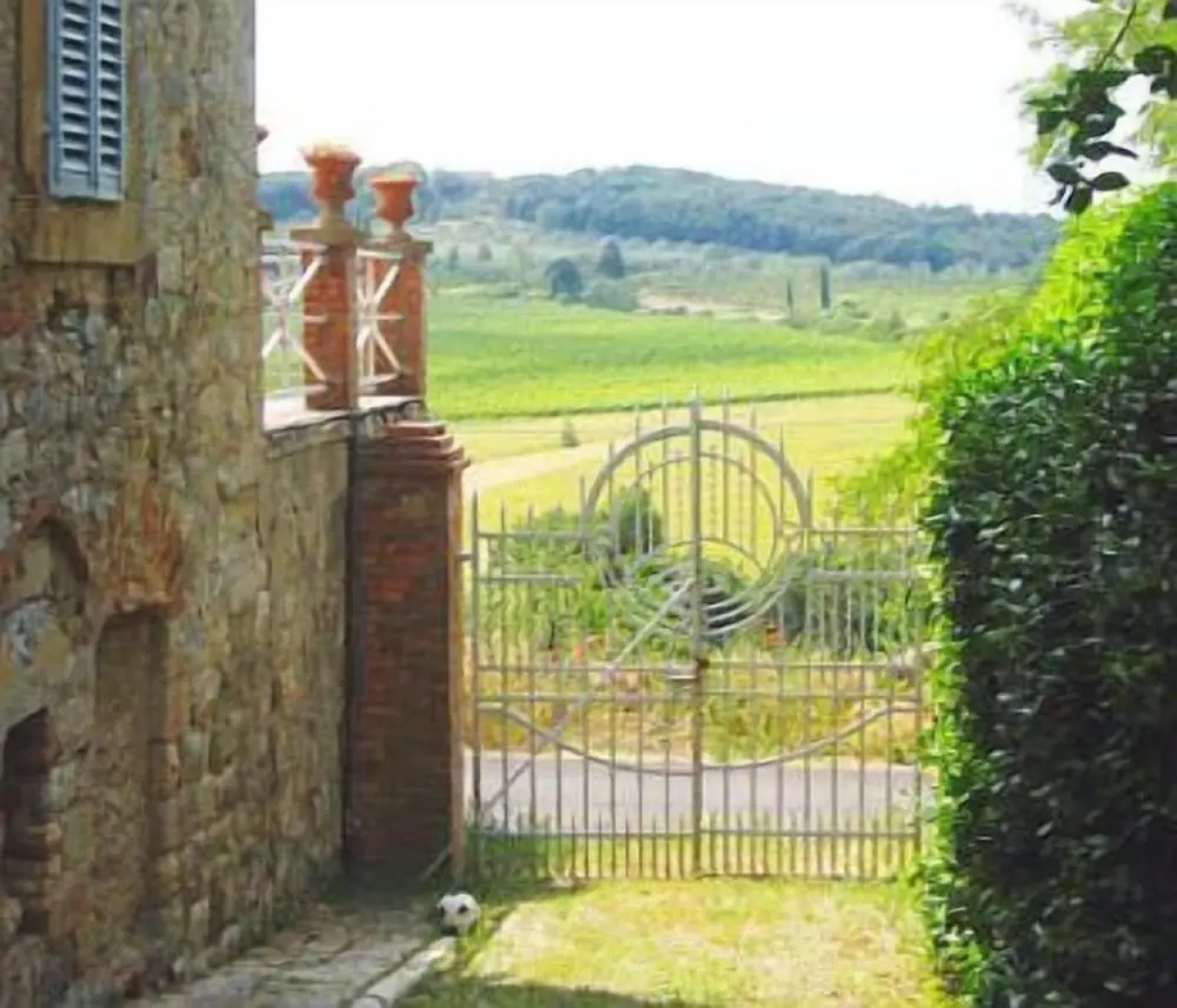 Fattoria San Donato