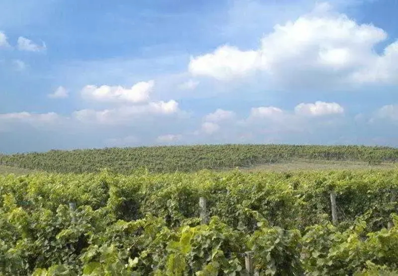 Fairfield Inn & Suites New Buffalo