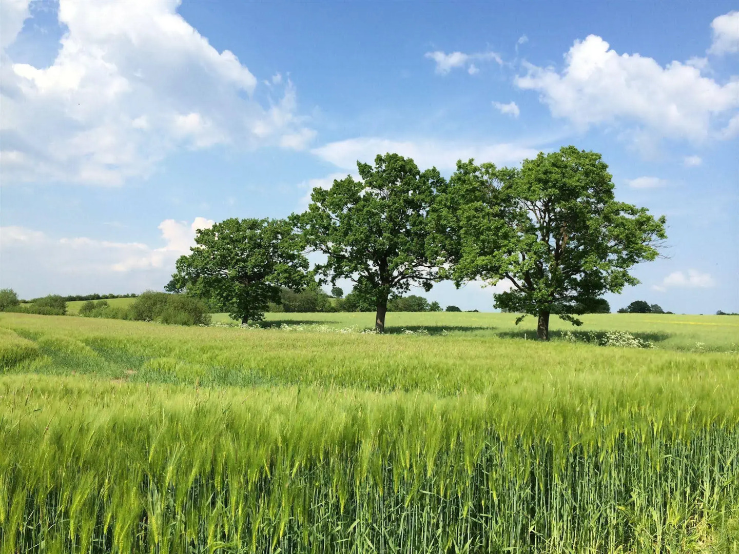 Romantik Seehotel Eichenhain