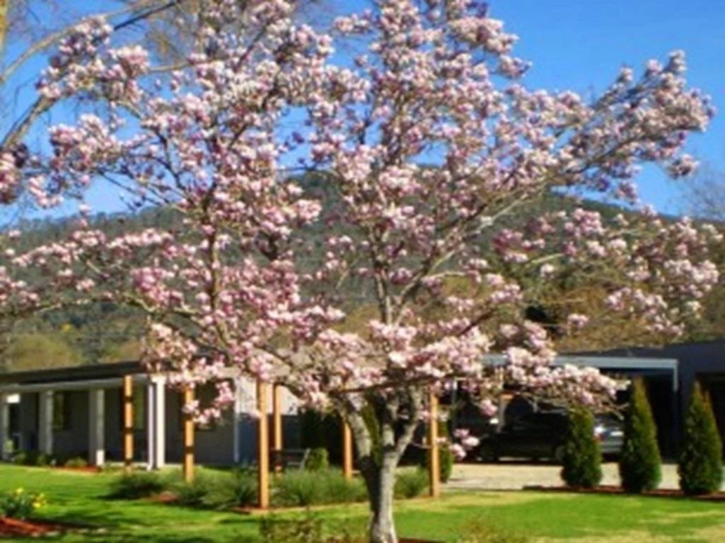 Grevillea Gardens Apartment 3