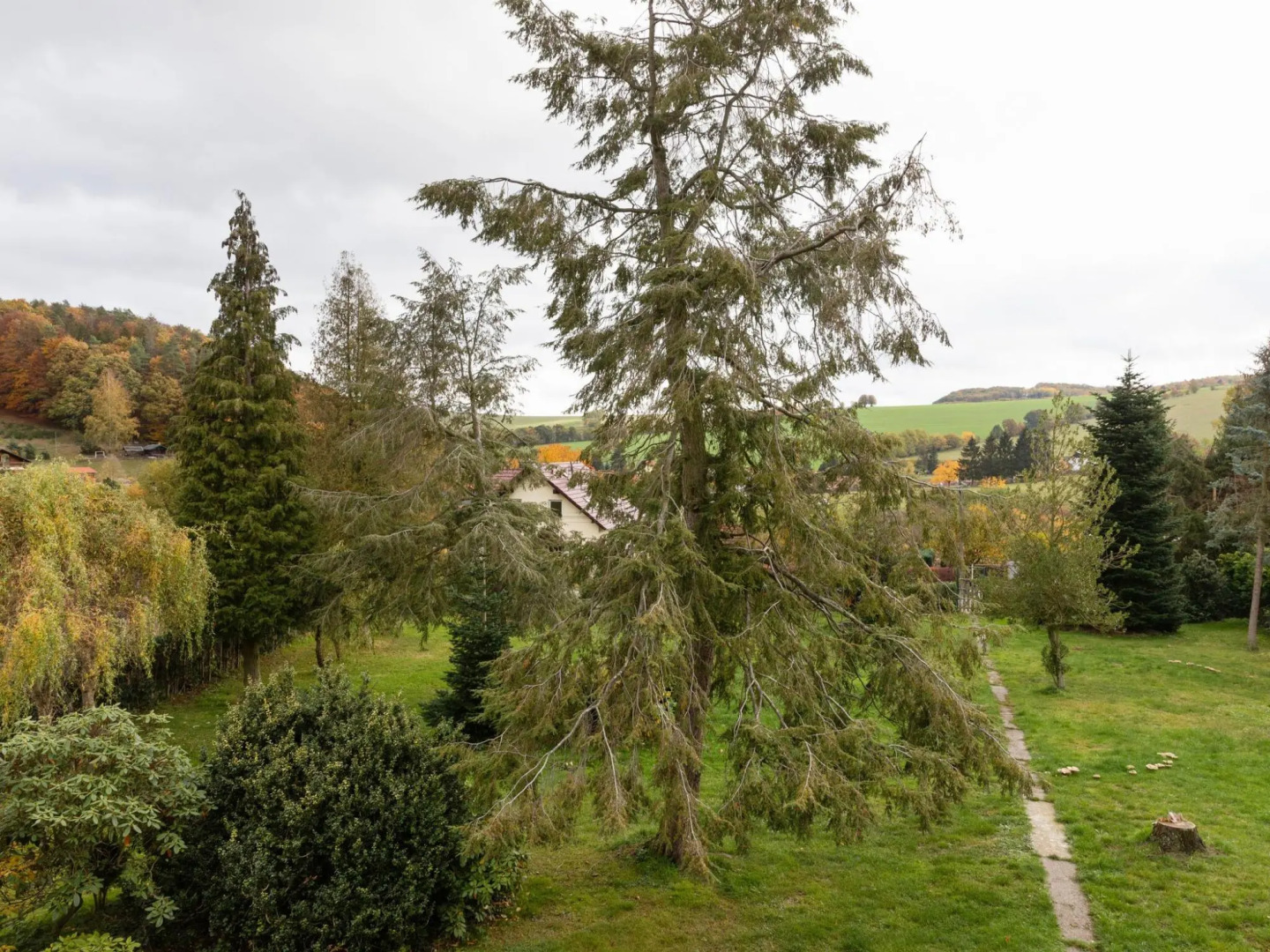 Ferienhaus im Thuringer Wald