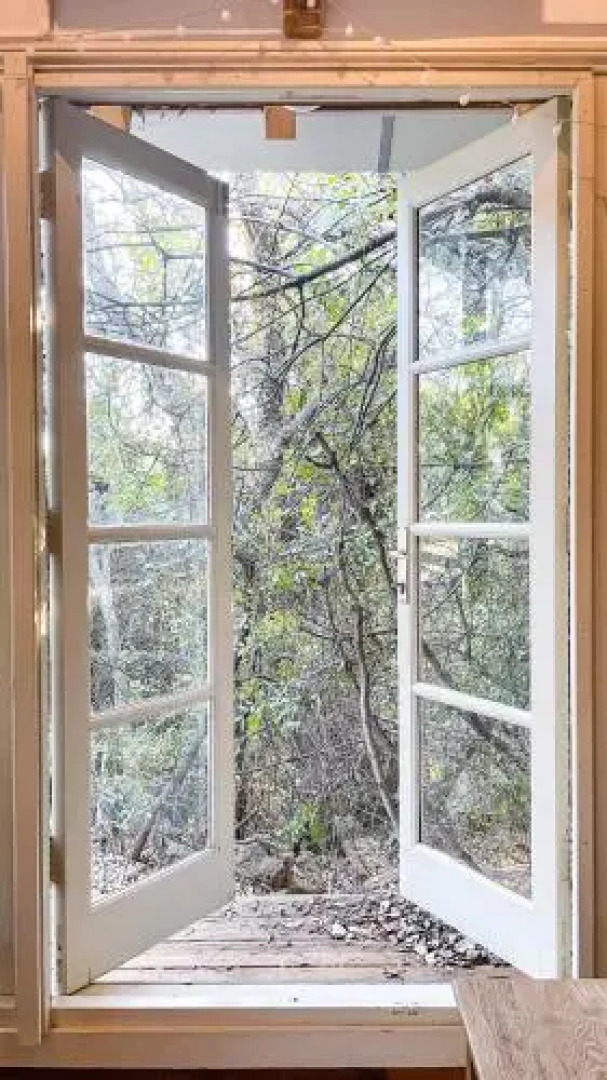 Blue House In The Woods- Amirim