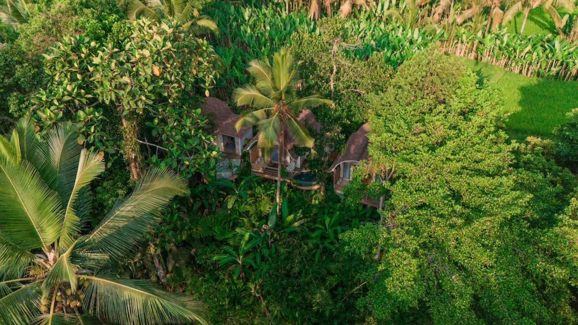 Sacred Canyon Ubud by GenuineHost