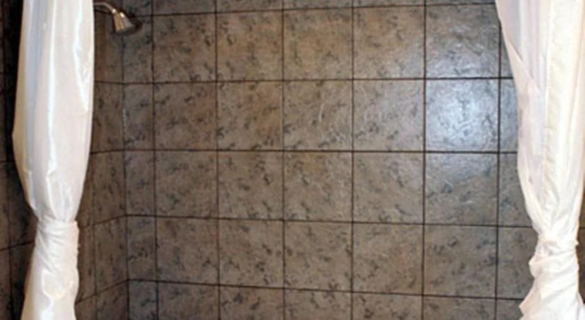 Auberge Bay Wind Suites