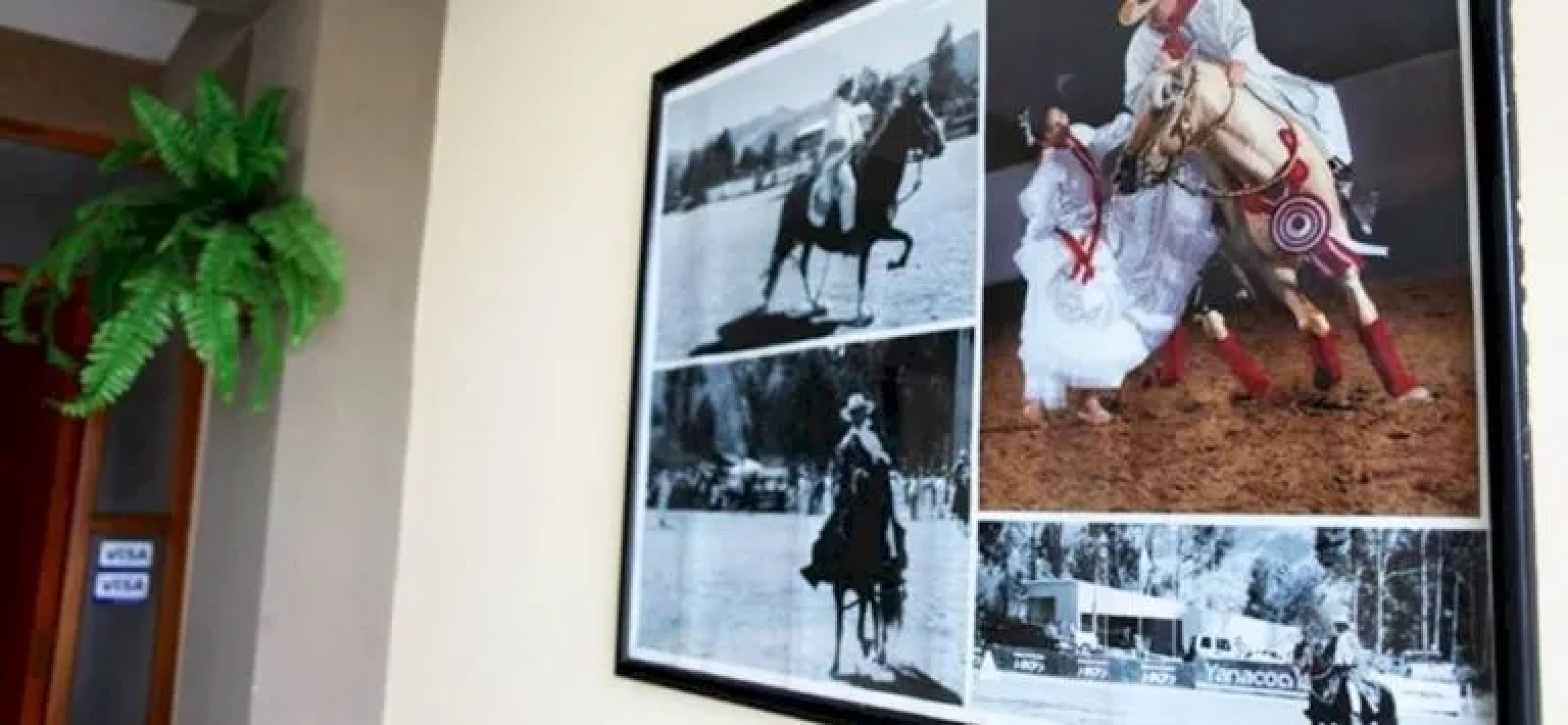 Los Sauces Bed & Breakfast