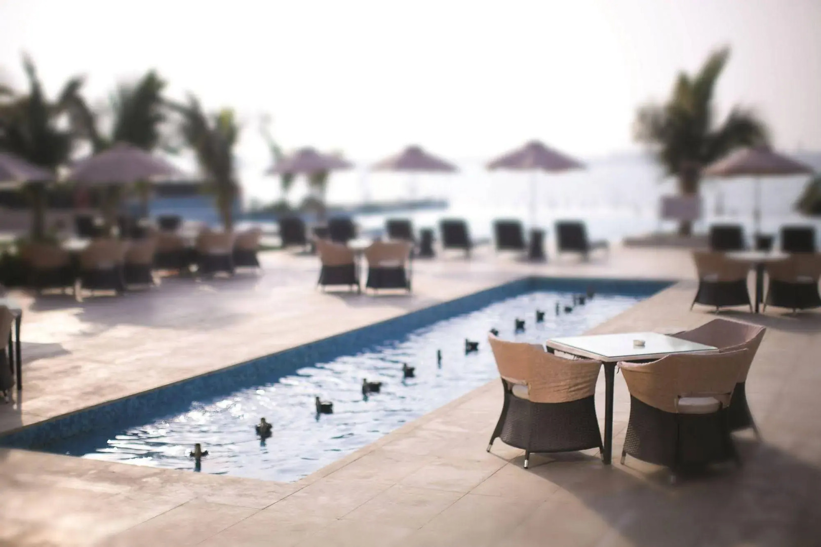 Kempinski Hotel & Resort Sariya Yanbu