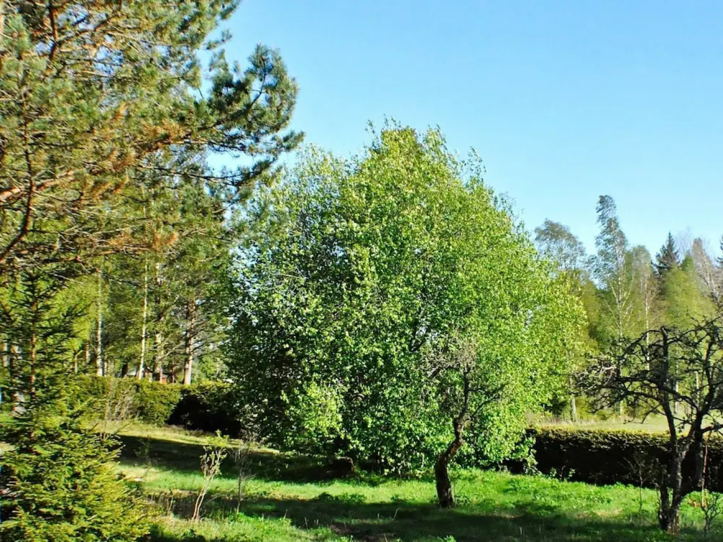 4 Person Holiday Home in Årjäng