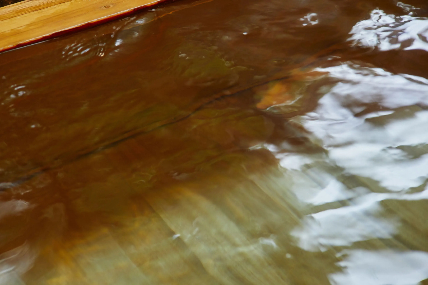 Yutorelo Tateshina Hotel with DOGS