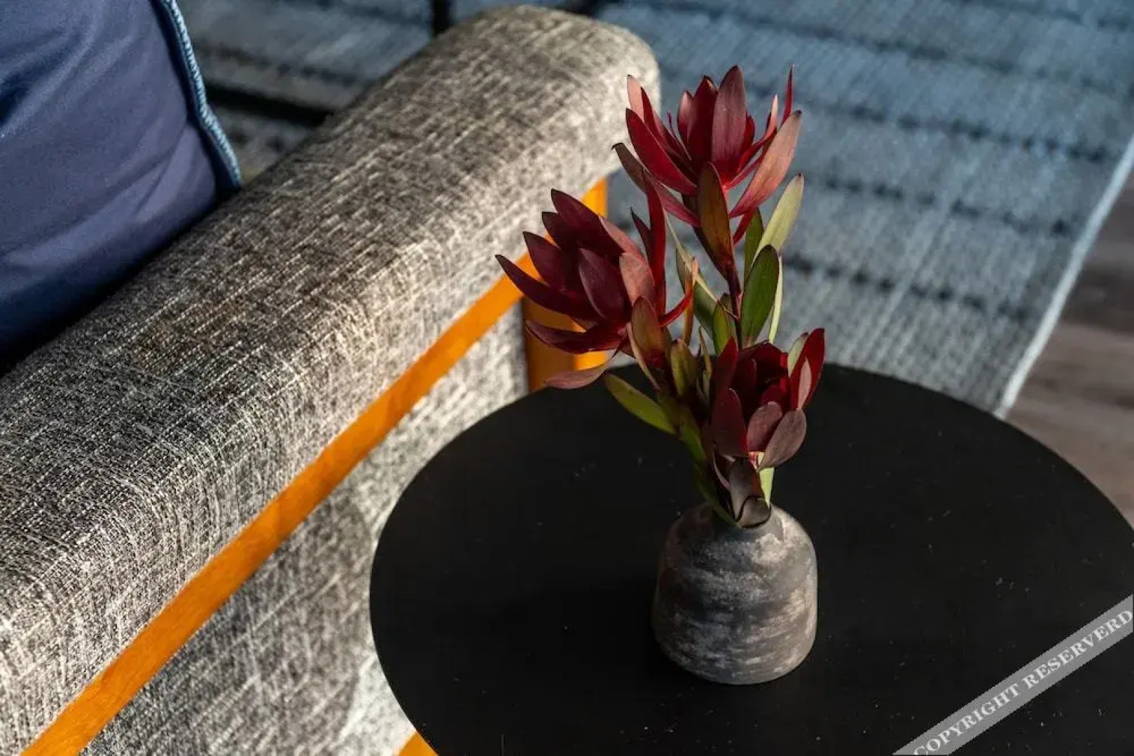 Park Avenue Condos by Barsala