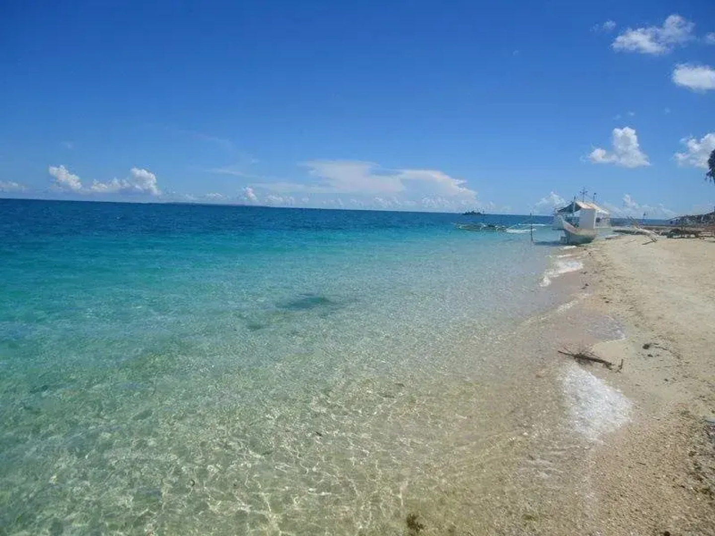 Seahorse Tourist Inn