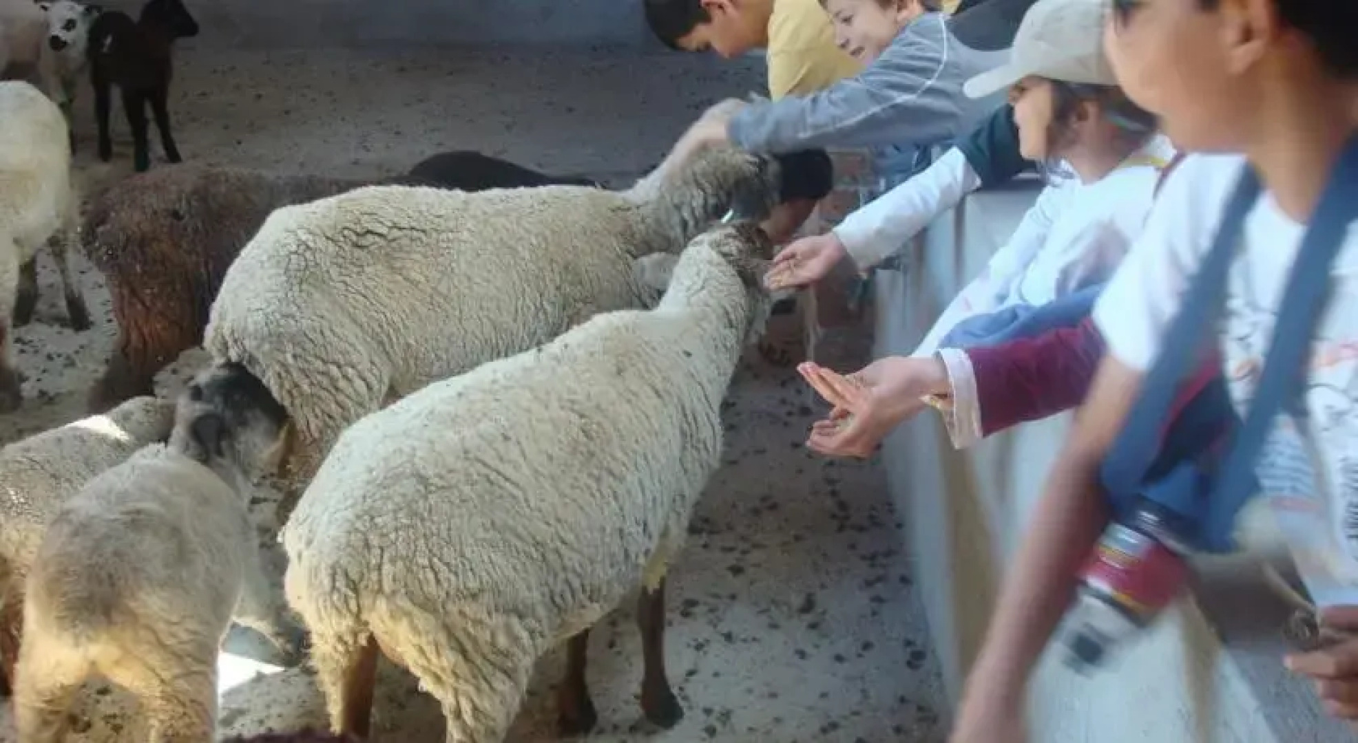 Parque Natural Los Manantiales