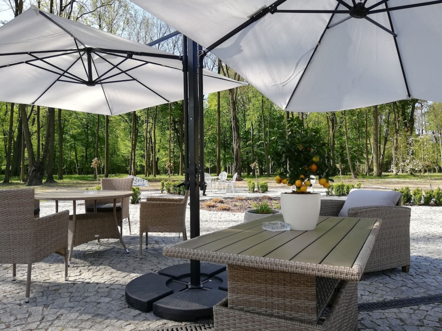 Zespol Palacowo-Parkowy w Dabrowce